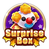 Surprise Box